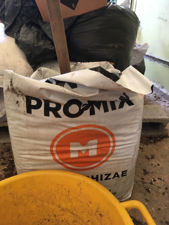 Promix- a brand of potting mix